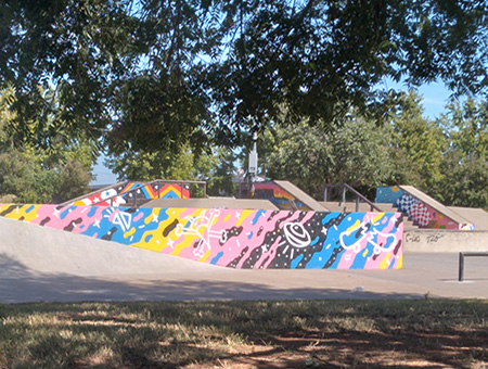 Matt Hoffman Skatepark